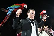 Allesio und seine gefiederten Freunde